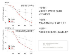 편관보 성분