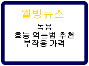 녹용 효능 먹는법 추천 부작용 가격